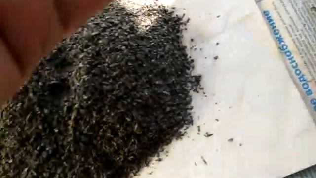 Отсев с магнитного трала " ГНОМ" - автодорога смотреть онлайн