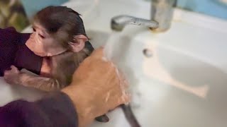 Вы хотели посмотреть КАК Люся ПРИНИМАЕТ ДУШ? Смотрим)))