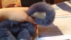 Обзор брелка кролика