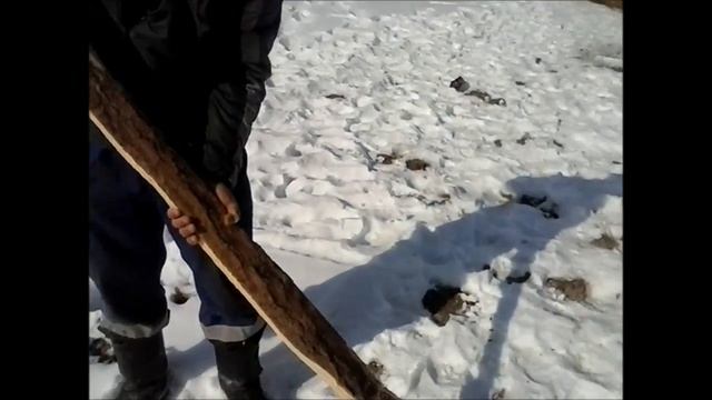 Авангард ЧЕМПИОН ! смотреть онлайн