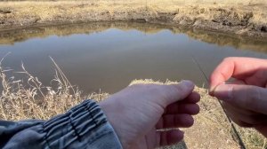 ПРОСТАЯ РЫБАЛКА НА УКЛЕЙКУ ВЕСНОЙ / ЛОВЛЯ УКЛЕЙКИ НА ПОПЛАВОК