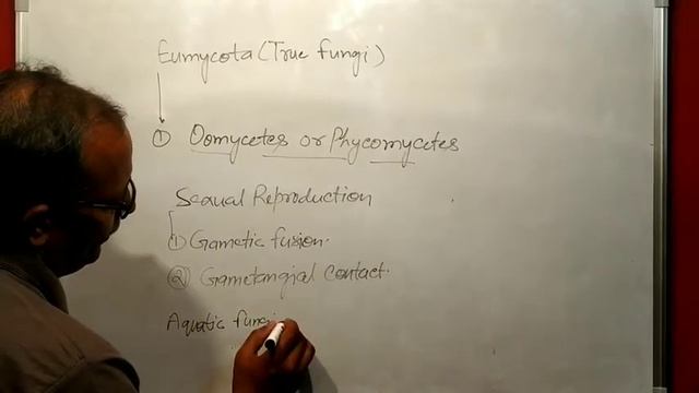 Classification of true fungi & special point of Oomycetes|| Biological Classification//NEET&AIIMS/ смотреть онлайн