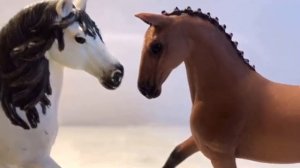 Клип лошади шляйх.✨🐎 ✨🌸