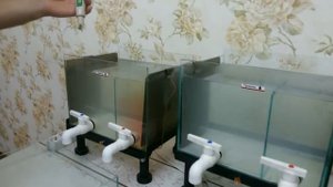 Часть 1.Электро - активатор. Живая и Мертвая  вода .living and dead water, ionizer, water activator