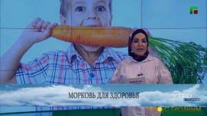 АНТАРКТИДА ЗЕЛЕНЕЕТ: НОВОСТИ НАУКИ