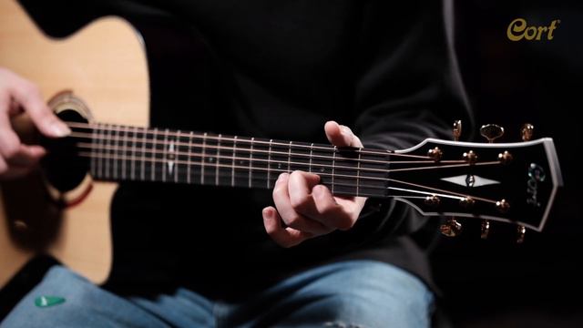 Cort Luce-LE CL MD NAT(FM) смотреть онлайн