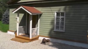 Д. Радищево Чудовский район