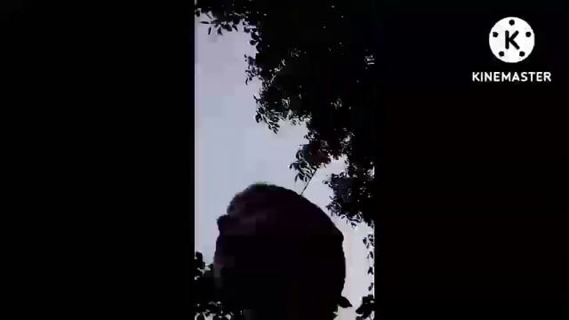 ответ на вопрос где видео? смотреть онлайн