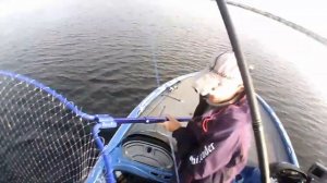 колыбельная напарника