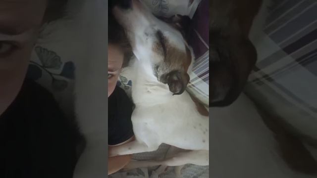 Лайма влюблена в человека 🙏❤️ смотреть онлайн