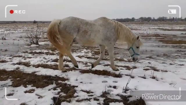 Аркадиум - физический элемент в таблице жизни смотреть онлайн