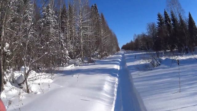ХантКиров на зайца (закрытие охоты) 23.02.19 смотреть онлайн
