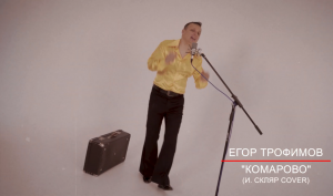 ЕГОР ТРОФИМОВ - "Комарово" (И. СКЛЯР COVER)