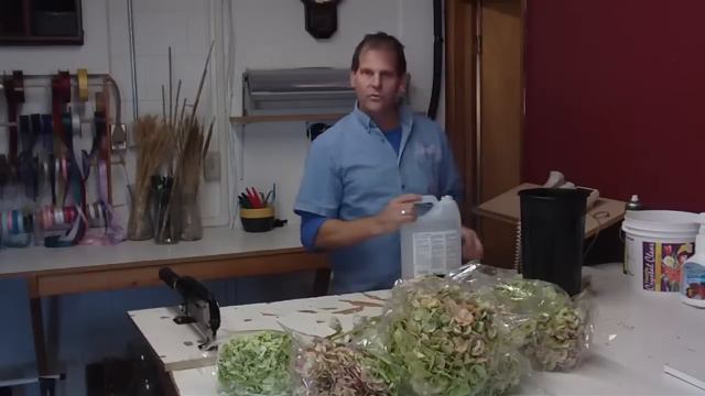 How To Prepare Antique Hydrangeas - lwflowers.com смотреть онлайн