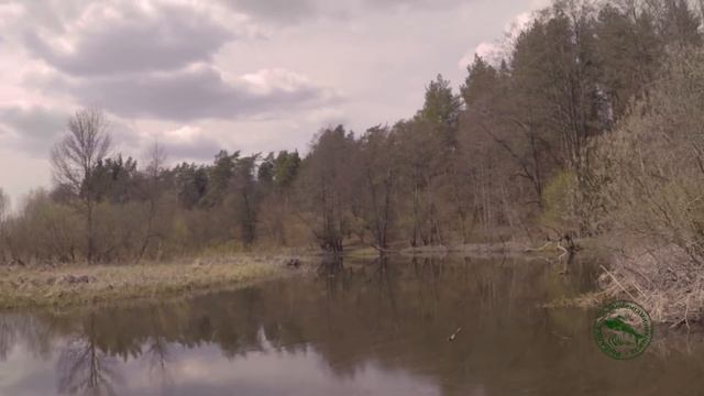 Речная рыба на мушку #1. Ловля весенней рыбы по холодной воде.