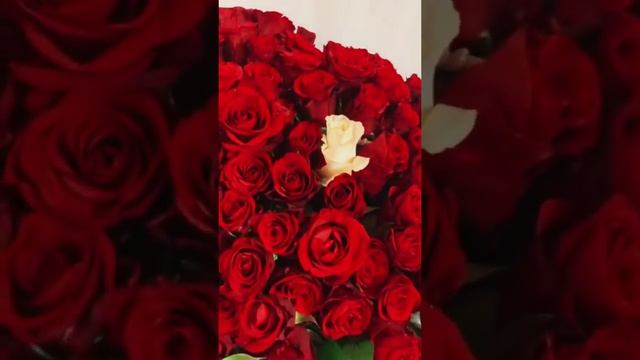 Розы. Цветы. Букеты. Букеты из Роз. Свежие Розы смотреть онлайн