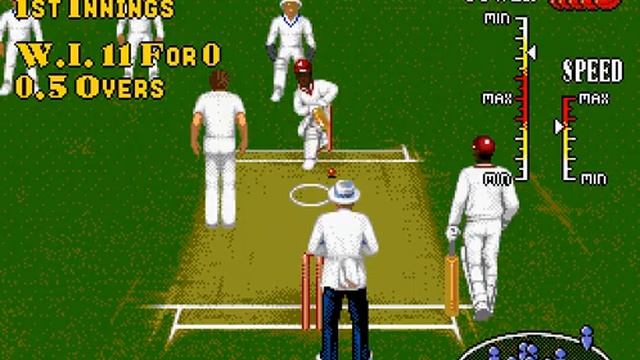Playing: Brian Lara Cricket