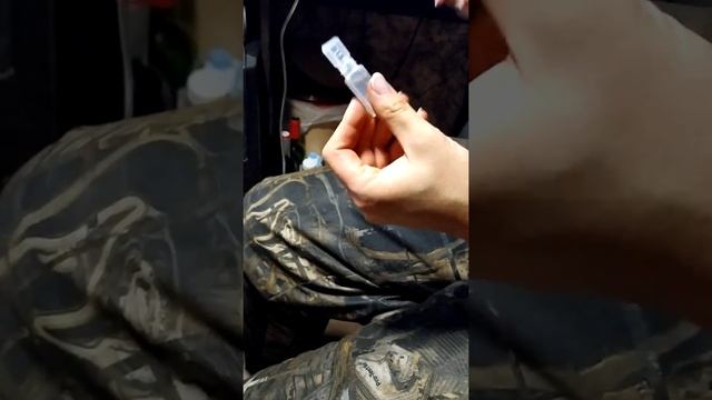 Как поставить капельницу кошке