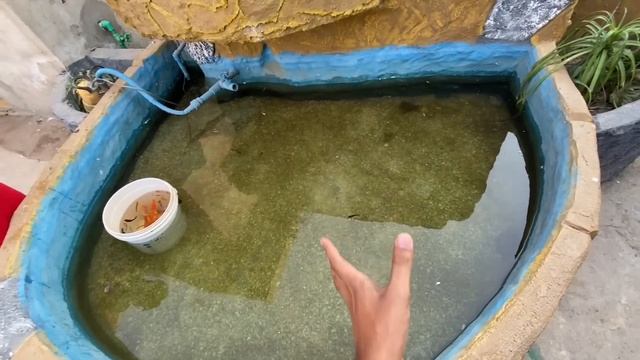 First Time Bht Sari New Fishes Le Kr Ae ?? смотреть онлайн