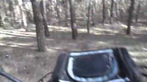 JIANSHE JS250-5 WILD CAT Весной по лесу.