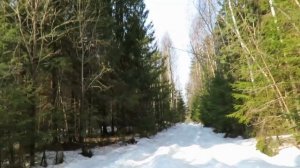 Квадроцикл Стелс Леопард 500 YS       Юркина гора