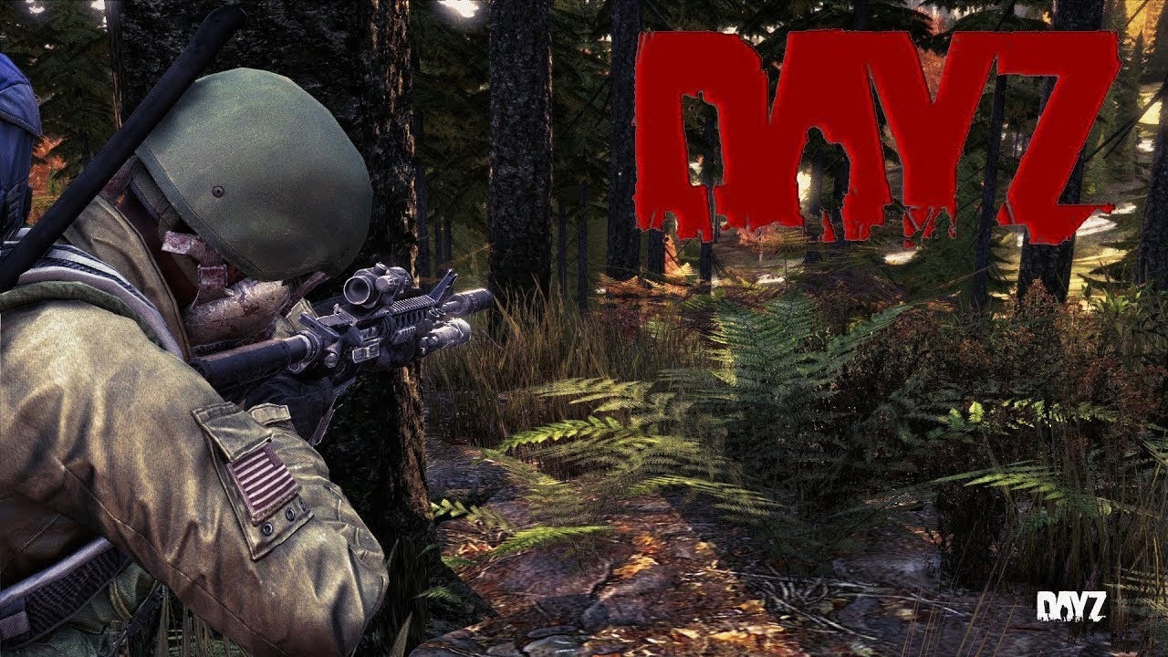 DAYZ STALKER