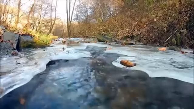 Пока мы свою половину дома ремонтировали, золовка по курортам каталась, а теперь ей удобства подава смотреть онлайн