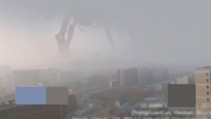 5 ГИГАНТСКИХ СУЩЕСТВ Снятые на Камеру