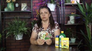 Капуста пекинская выращивание ? Дачные советы садоводам от garden-zoo