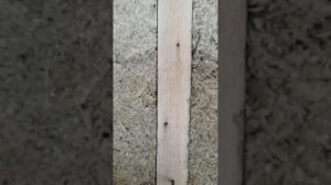 Честный отзыв о доме из опилкобетона