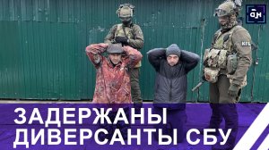 ЗАДЕРЖАНЫ ДИВЕРСАНТЫ СБУ на белорусско-украинской границе. ПОДРОБНОСТИ. Панорама