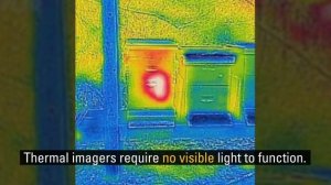 Saving Beehives With FLIR Thermal Cameras