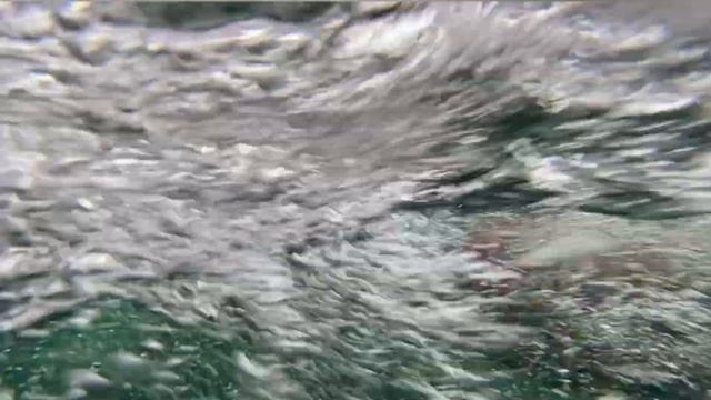 Counter Current Freestyle Swimming. Preparation For Open Water | Плавание кролем на противотоке