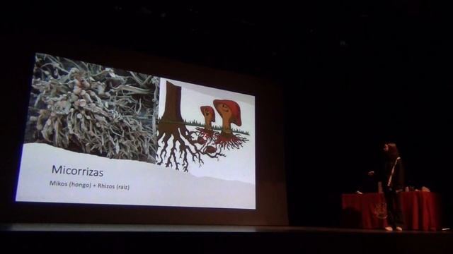 FASCINACIÓN POR LOS HONGOS - Aitana Barriuso смотреть онлайн