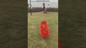 Пудель, который ходит на двух ногах