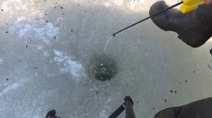 Аргази 2020. По последнему льду за чебаком.