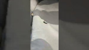 Пробокс сиденья от иста