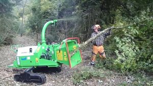 Измельчители древесины Green Mech - новые технологии в России