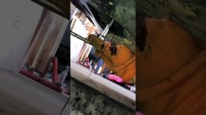 Замена масла Jeep Patriot. Авто из США