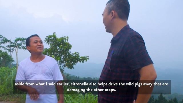 Citronella: Straight From An Organic Farm In Java, Indonesia смотреть онлайн