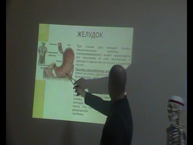 Семинар ВИСЦЕРАЛЬНАЯ ОСТЕОПАТИЯ 1 ВО1_26 смотреть онлайн