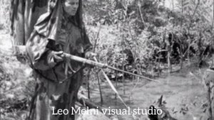 Бессмертный подвиг 500 пограничников и 150 их служебных собак 30 июля 1941 г.