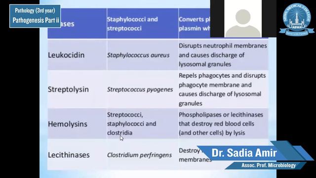 Pathology-3rd-year-Pathogenesis part ii смотреть онлайн