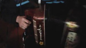 сектор газа "лирика" на гармошке