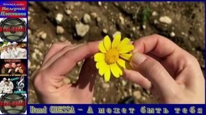 Band ODESSA - А может быть тебя.mp4