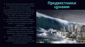 Презентация по БЖД «Цунами»