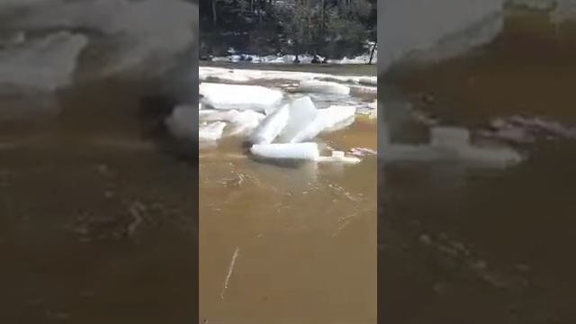 В с. Нижний Авзян Белорецкого района ситуация находится под контролем