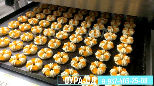 Отсадочная машина СУРА - СД для сдобного, песочного теста.