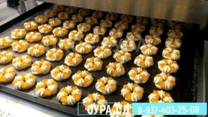 Отсадочная машина СУРА - СД для сдобного, песочного теста.