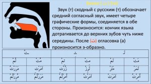 Онлайн-лекция на тему: «Графические формы букв арабского алфавита: буквы "Мим", "Та", "Нун"»